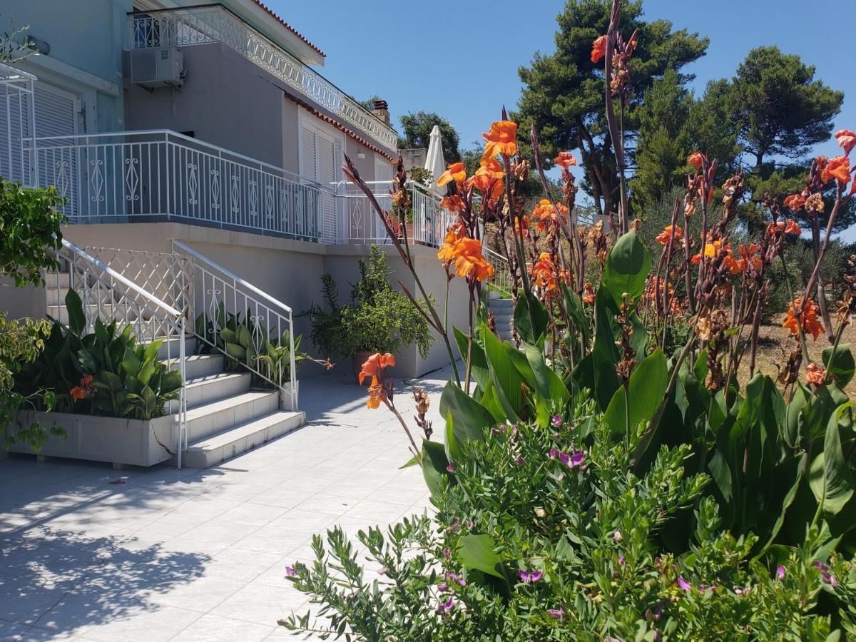 Malibu Studios & Apartments Lassi  Exteriér fotografie